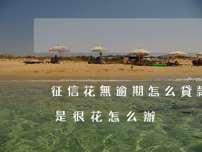 征信花無逾期怎么貸款(個人征信沒有逾期但是很花怎么辦)