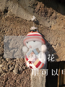 征信花無逾期招行信用卡(征信花了但沒有逾期可以申請信用卡嗎)