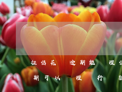 征信花無逾期能辦理信用卡么 征信花,沒有逾期可以辦理銀行貸款嗎