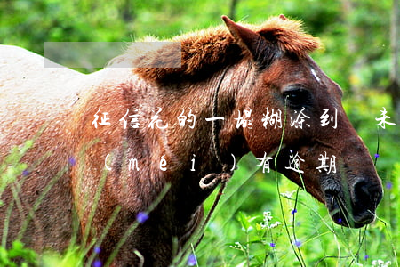 征信花的一塌糊涂到從未逾期(征信有些花沒(méi)有逾期)