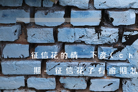 征信花的情況下產(chǎn)生了一筆逾期-征信花了有逾期怎么辦