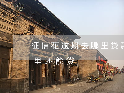 征信花逾期去哪里贷款(当前有逾期征信花哪里还能贷)