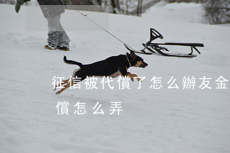 征信被代償了怎么辦（友金服逾期上了征信代償怎么弄）