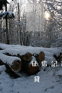 征信記錄一次逾期房貸(征信記錄一次逾期房貸)