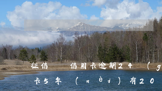 征信記錄信用卡逾期24個(gè)月(信用卡5年內(nèi)有20個(gè)月逾期)