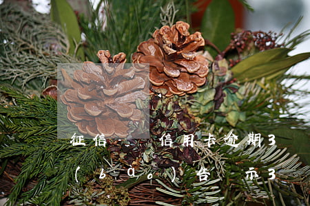 征信記錄信用卡逾期3個(gè)月(征信報(bào)告顯示3個(gè)月處于逾期)