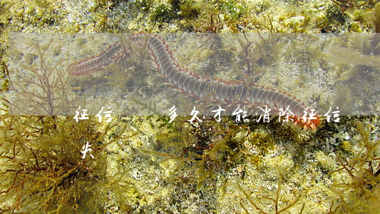 征信記錄多久才能消除(征信記錄多久可以消失)