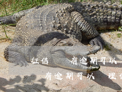 征信記錄有逾期可以辦理信用卡嗎-征信記錄有逾期可以辦理信用卡嗎