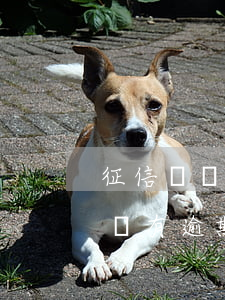 征信記錄有逾期房貸知乎(征信上貸款記錄多沒有逾期買房子有影響么)