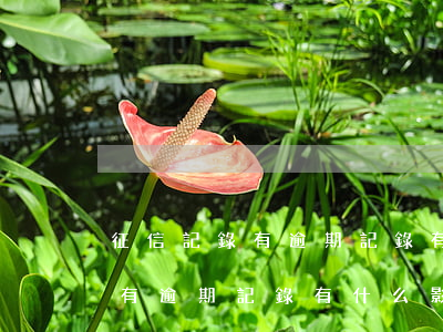 征信記錄有逾期記錄有什么影響-征信記錄有逾期記錄有什么影響嗎
