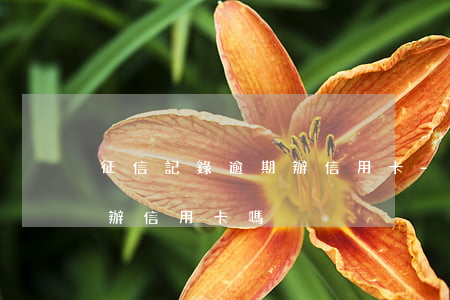 征信記錄逾期辦信用卡-征信有逾期記錄能辦信用卡嗎