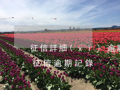 征信詳細(xì)逾期記錄在哪看(怎么查看征信逾期記錄)