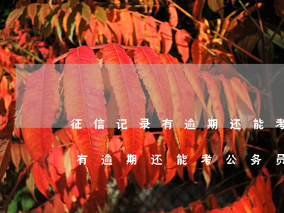 征信记录有逾期还能考公务员吗-征信记录有逾期还能考公务员吗知乎