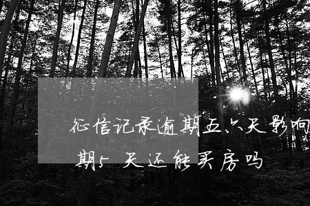 征信记录逾期五六天影响找工作吗-征信逾期5天还能买房吗