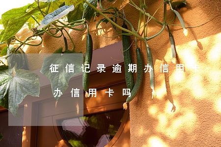 征信记录逾期办信用卡-征信有逾期记录能办信用卡吗