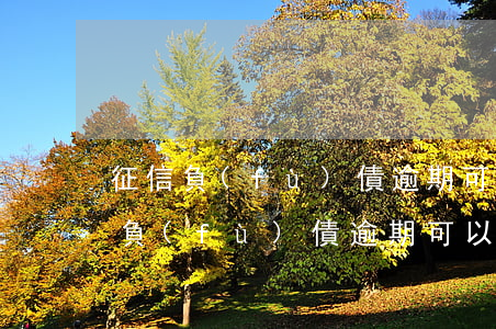 征信負(fù)債逾期可以辦信用卡嗎(征信負(fù)債逾期可以辦信用卡嗎)