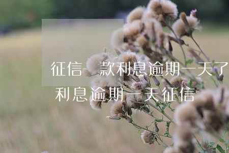 征信貸款利息逾期一天了(企業(yè)貸款利息逾期一天征信)