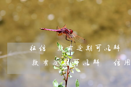征信貸款有逾期可以解凍信用卡嗎-征信貸款有逾期可以解凍信用卡嗎