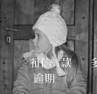 征信貸款記錄多_無逾期(貸款記錄多但沒有逾期)