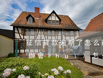 征信貸款逾期了怎么辦(征信貸款逾期了怎么辦,會(huì)怎么處理)