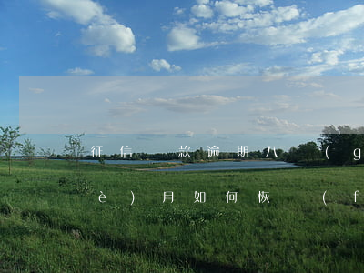 征信貸款逾期八個(gè)月(逾期8個(gè)月如何恢復(fù)征信買(mǎi)房子貸款)