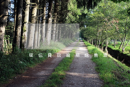 征信貸款逾期啥意思