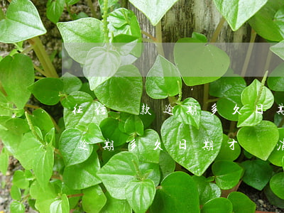征信貸款逾期多久日期才會消除-征信貸款逾期多久日期才會消除記錄