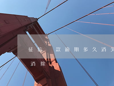 征信貸款逾期多久消失(逾期處理了征信多久消除)
