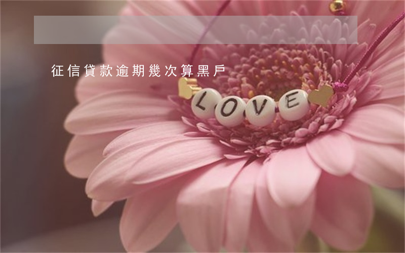 征信貸款逾期幾次算黑戶