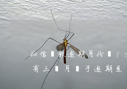 征信貸款逾期月份數(shù)3(征信報告有三個月處于逾期是連續(xù)三個月嗎)