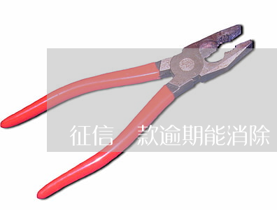 征信貸款逾期能消除嗎(征信逾期可以撤銷嗎)
