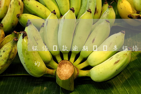 征信貸款逾期記錄多(征信逾期記錄是什么樣的)