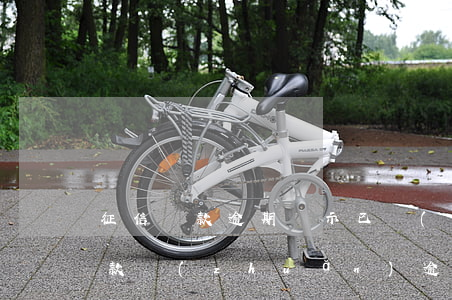 征信貸款逾期顯示已轉(zhuǎn)出(貸款轉(zhuǎn)逾期是什么情況)