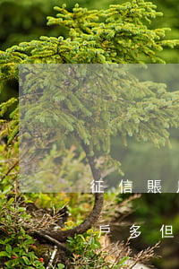征信賬戶多但是沒有逾期全部還清-征信賬戶多但是沒有逾期全部還清會(huì)怎么樣