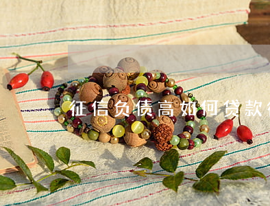 征信负债高如何贷款(征信负债过高怎么办)