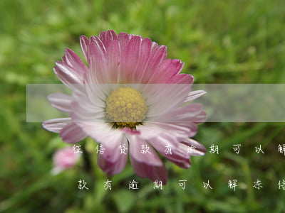 征信贷款有逾期可以解冻信用卡吗-征信贷款有逾期可以解冻信用卡吗