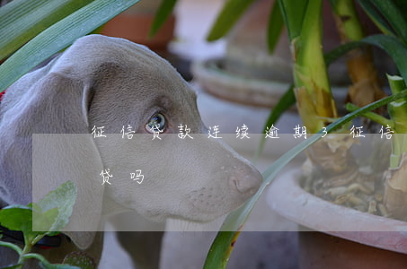 征信贷款连续逾期3(征信报告3次逾期能房贷吗)
