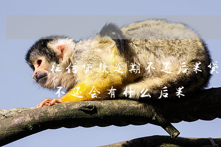 征信贷款逾期不还后果(贷款逾期多久上征信 不还会有什么后果)