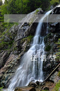 征信贷款逾期怎么看(征信上怎么看逾期)