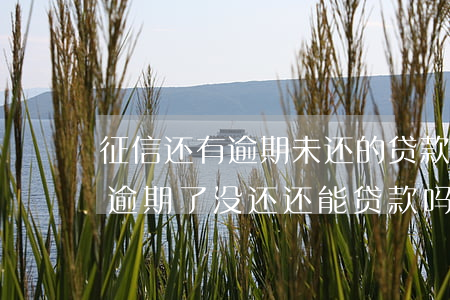 征信还有逾期未还的贷款能办信用卡（信用卡逾期了没还还能贷款吗）