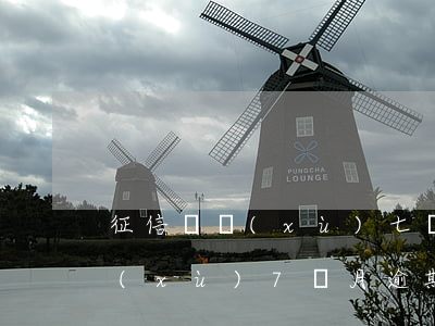 征信連續(xù)七個月逾期(征信報告連續(xù)7個月逾期可以消除嗎)