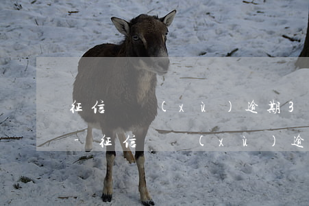 征信連續(xù)逾期3個月算逾期3次嗎-征信連續(xù)逾期3個月算逾期3次嗎怎么辦