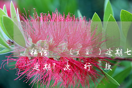 征信連續(xù)逾期七個月房貸(征信報告逾期7次,銀行貸款嗎)
