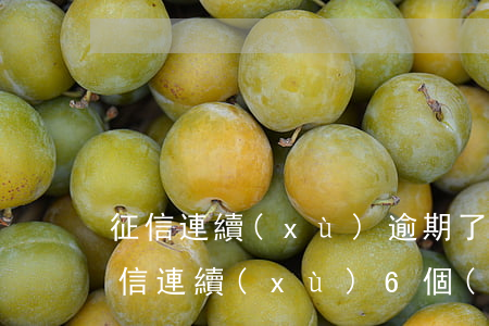 征信連續(xù)逾期了六個(gè)月（征信連續(xù)6個(gè)月逾期能貸款嗎）