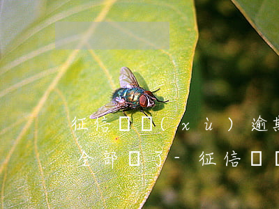 征信連續(xù)逾期六個(gè)月最后全部還了-征信連續(xù)逾期六個(gè)月最后全部還了會(huì)怎么樣