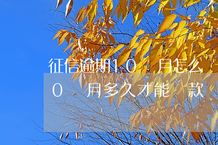 征信逾期10個月怎么辦信用卡(征信逾期10個月,多久才能貸款)