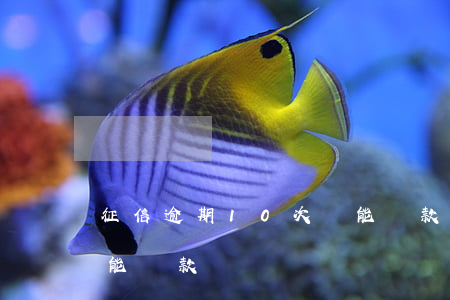 征信逾期10次還能貸款(征信逾期10次還能貸款)