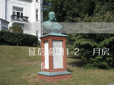 征信逾期12個月房貸(征信11次逾期怎么辦房貸)