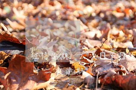 征信逾期12次辦下貸款(個(gè)人征信十二次逾期)