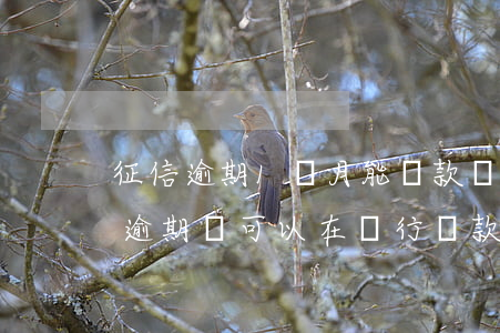 征信逾期1個月能貸款嗎(征信報告有一個月逾期還可以在銀行貸款嗎)